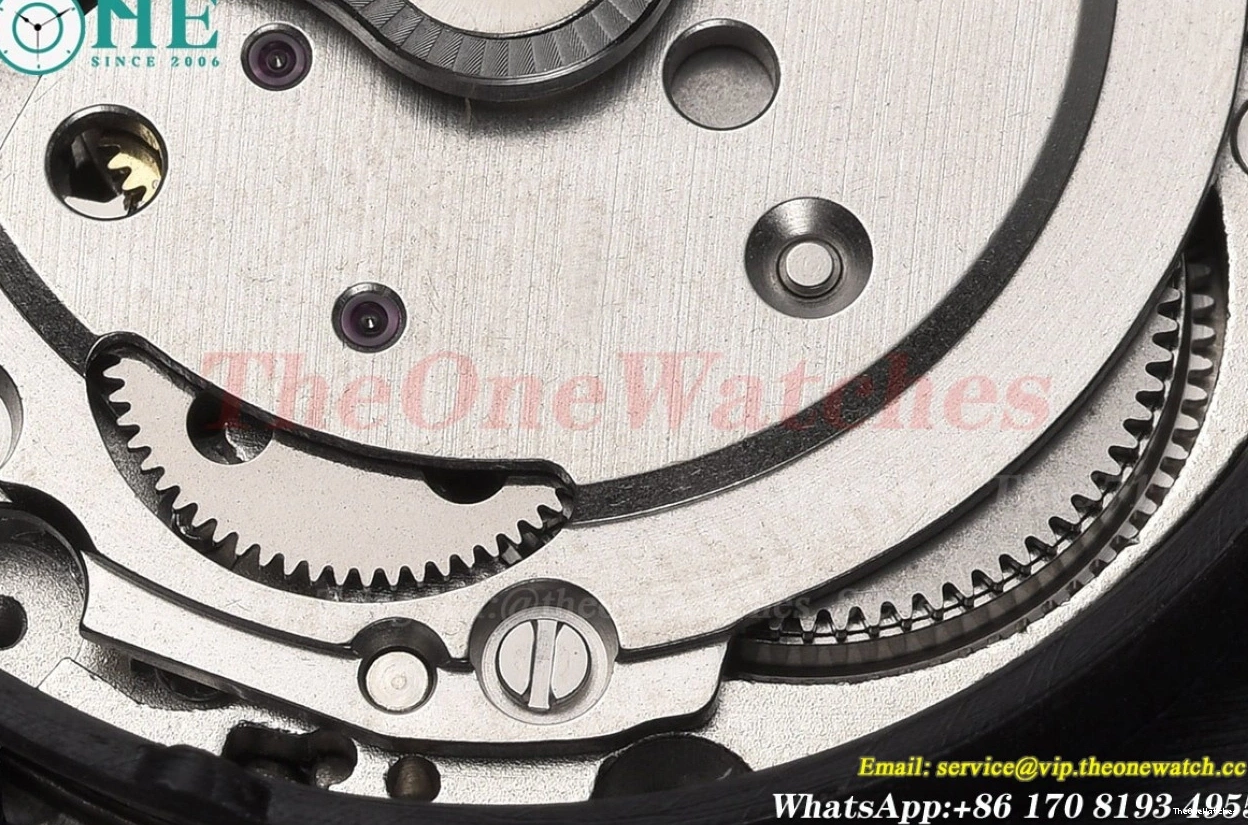 MY8215 43mm SS Dial GDF Black Seamaster 600m Oyster SS 0327